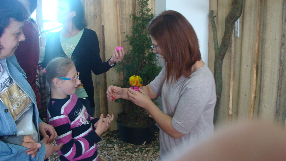 Z wizytą w Papuga House - Galeria