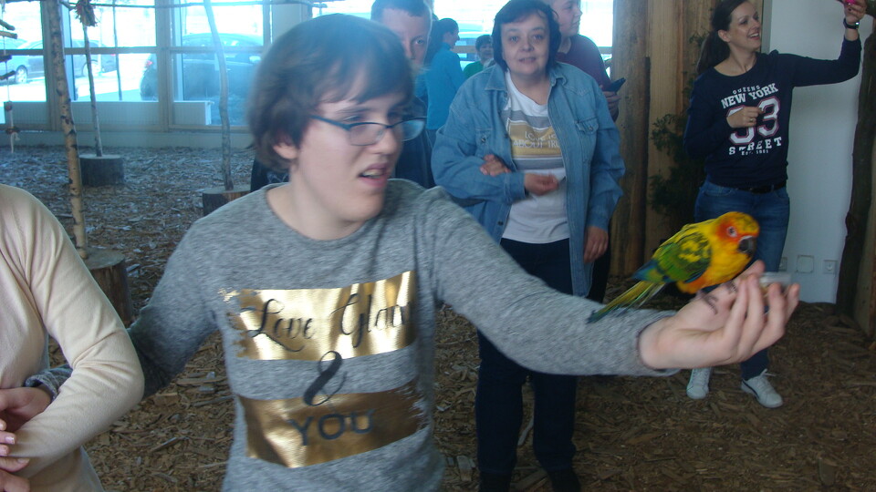 Z wizytą w Papuga House - Galeria