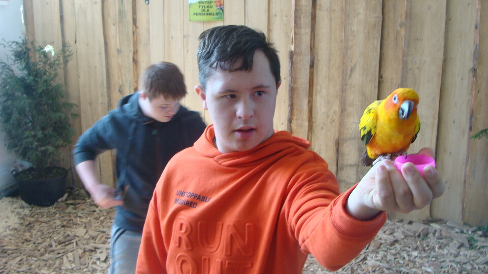 Z wizytą w Papuga House - Galeria