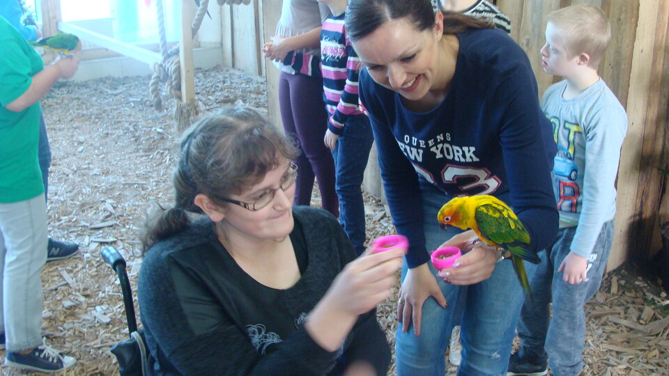 Z wizytą w Papuga House - Galeria