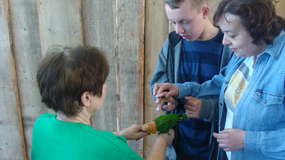 Z wizytą w Papuga House - Galeria