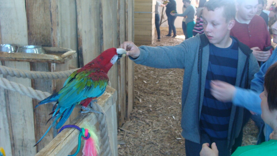 Z wizytą w Papuga House - Galeria