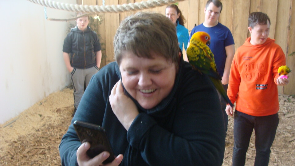 Z wizytą w Papuga House - Galeria
