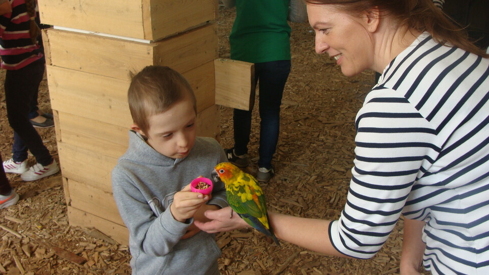 Z wizytą w Papuga House - Galeria