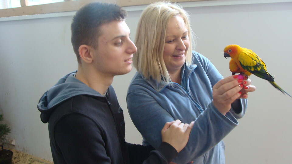 Z wizytą w Papuga House - Galeria