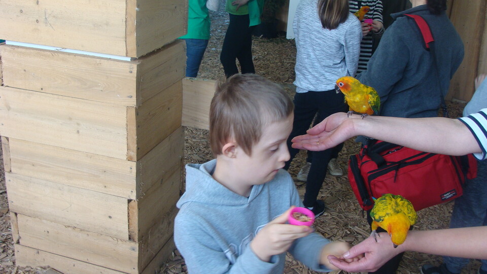 Z wizytą w Papuga House - Galeria
