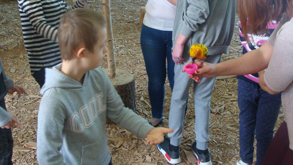 Z wizytą w Papuga House - Galeria