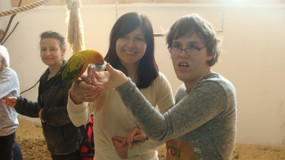 Z wizytą w Papuga House - Galeria