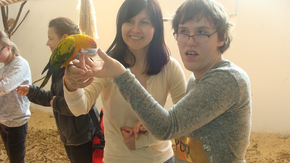 Z wizytą w Papuga House - Galeria