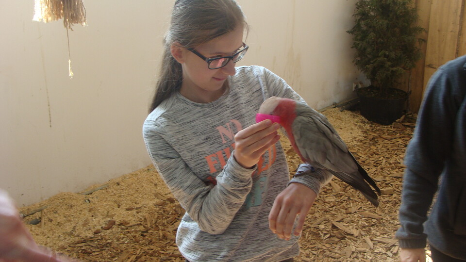 Z wizytą w Papuga House - Galeria