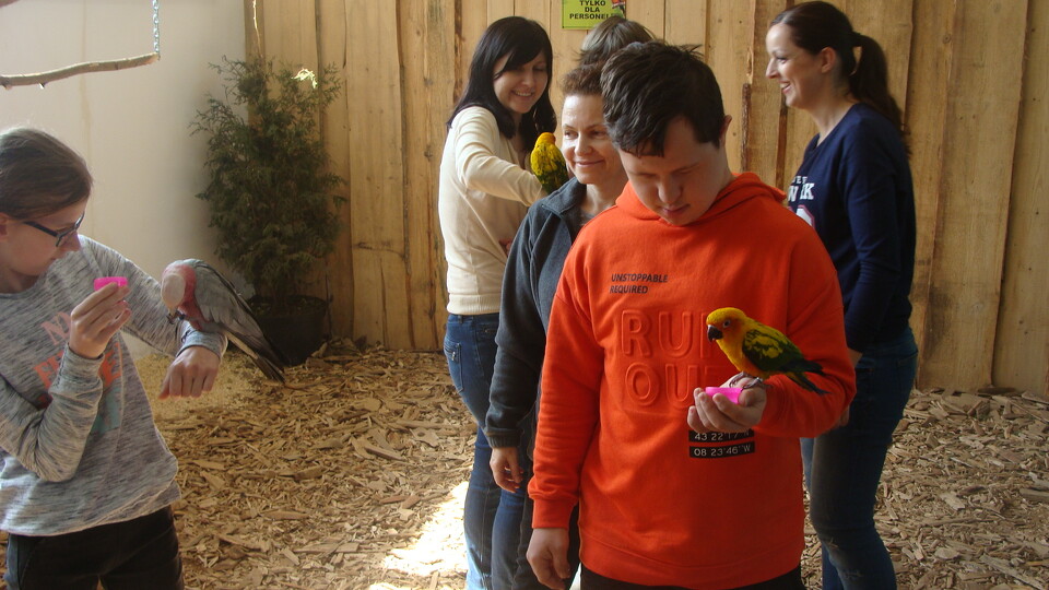 Z wizytą w Papuga House - Galeria