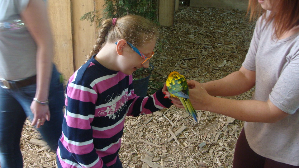 Z wizytą w Papuga House - Galeria
