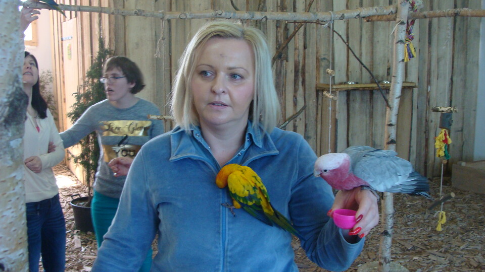 Z wizytą w Papuga House - Galeria