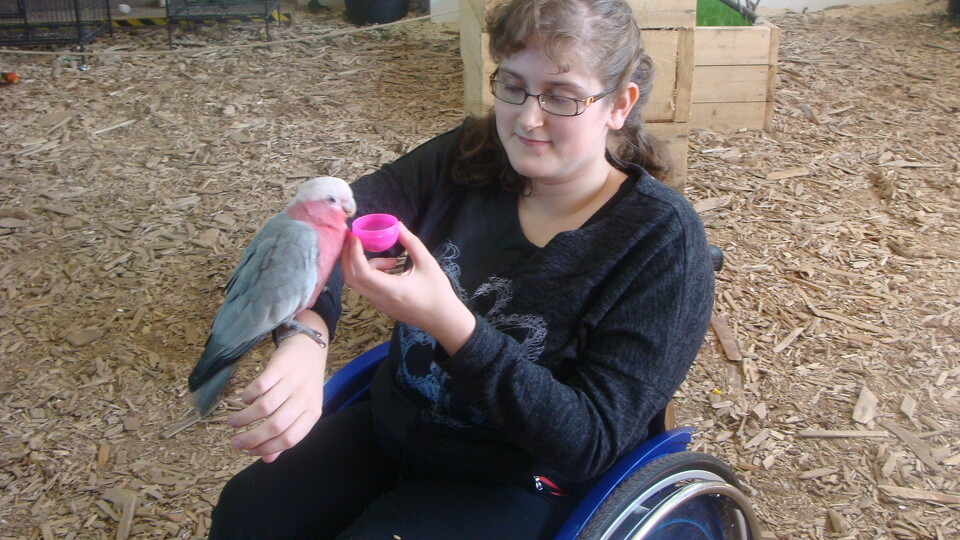 Z wizytą w Papuga House - Galeria