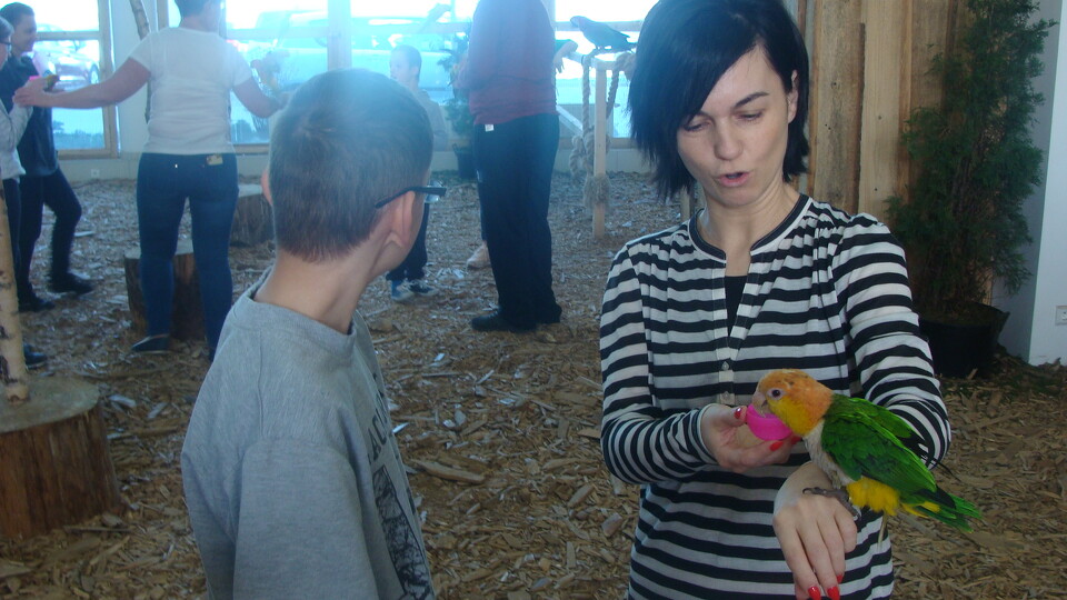Z wizytą w Papuga House - Galeria