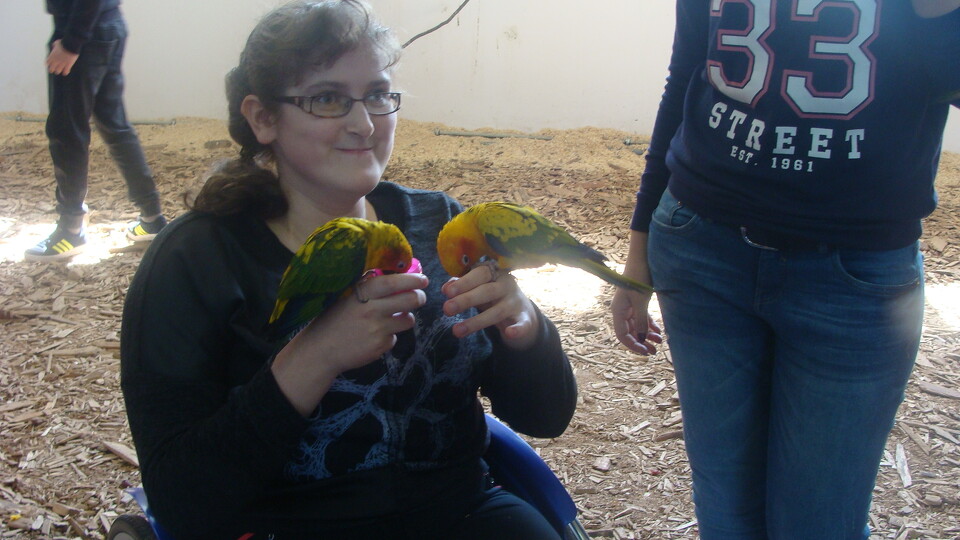 Z wizytą w Papuga House - Galeria