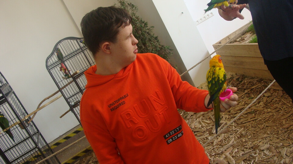 Z wizytą w Papuga House - Galeria