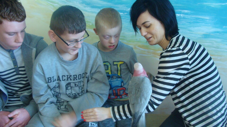 Z wizytą w Papuga House - Galeria