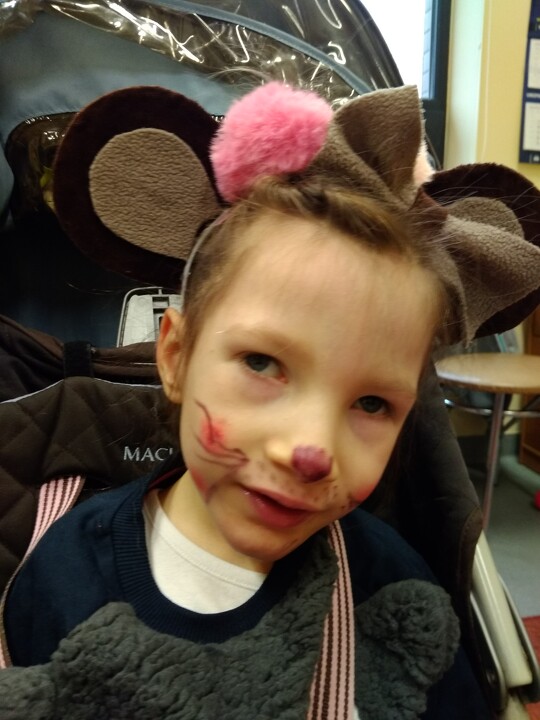 Dzień Pluszowego Misia