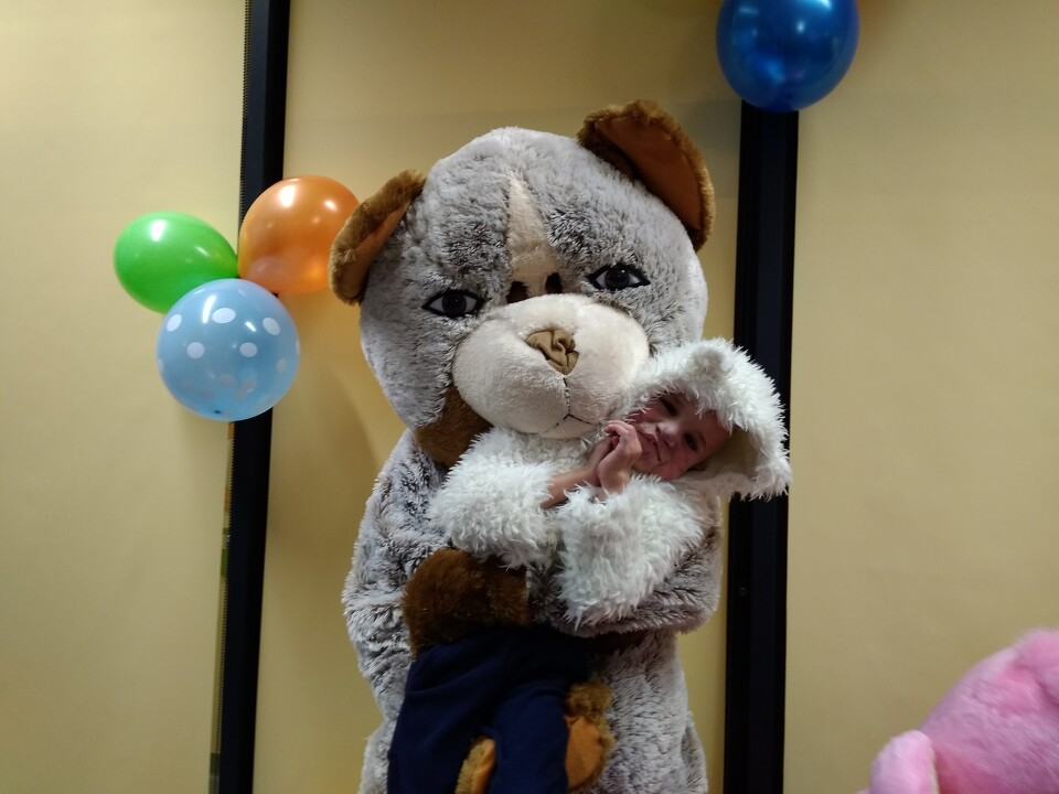 Dzień Pluszowego Misia