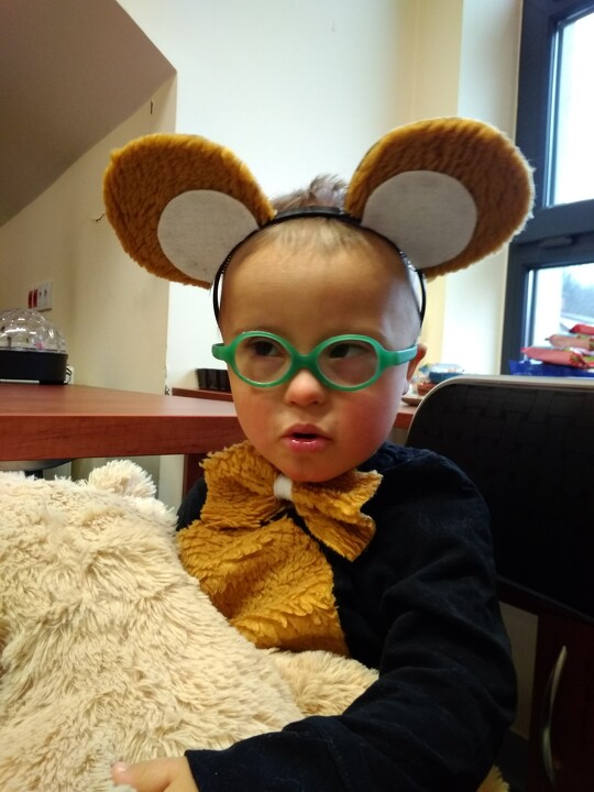 Dzień Pluszowego Misia