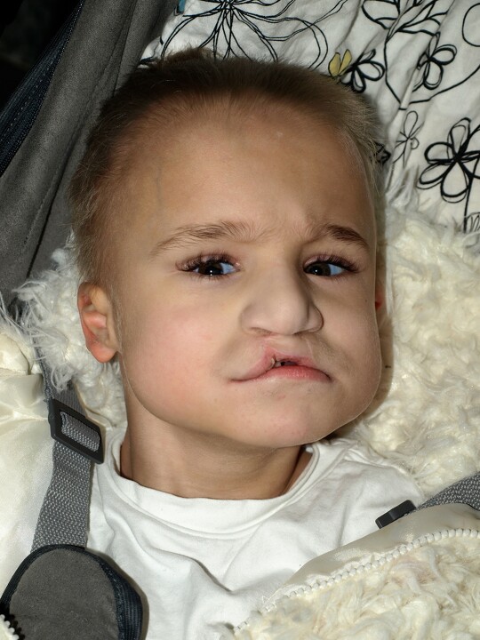 Dzień Babci i Dziadka