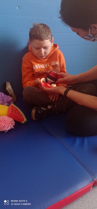 Przenośne Zestawy stymulujące Percepcję Wzrokową, Słuchową i dotykową.