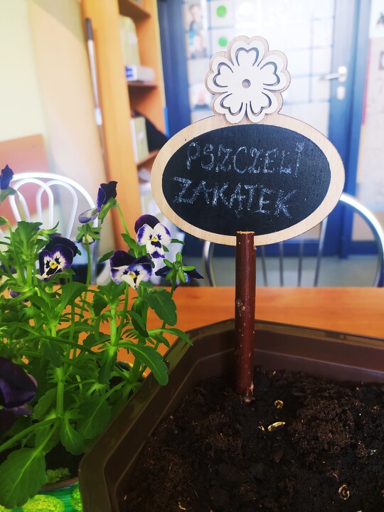 Światowy Dzień Ziemi