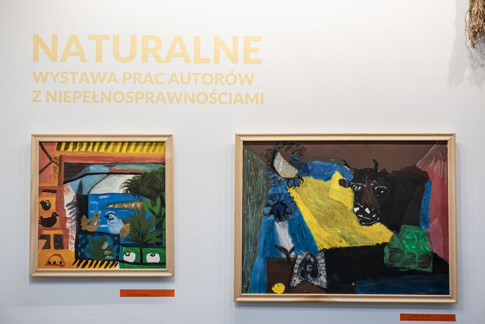 Gala Jubileuszowa 20 lecia PSONI Koło w Myślenicach - Fotorelacja