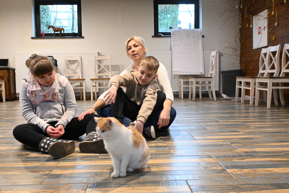 Na Zaczarowanym Wzgórzu