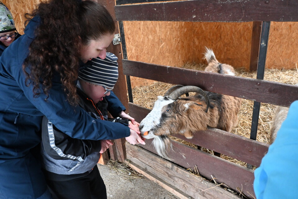 Na Zaczarowanym Wzgórzu