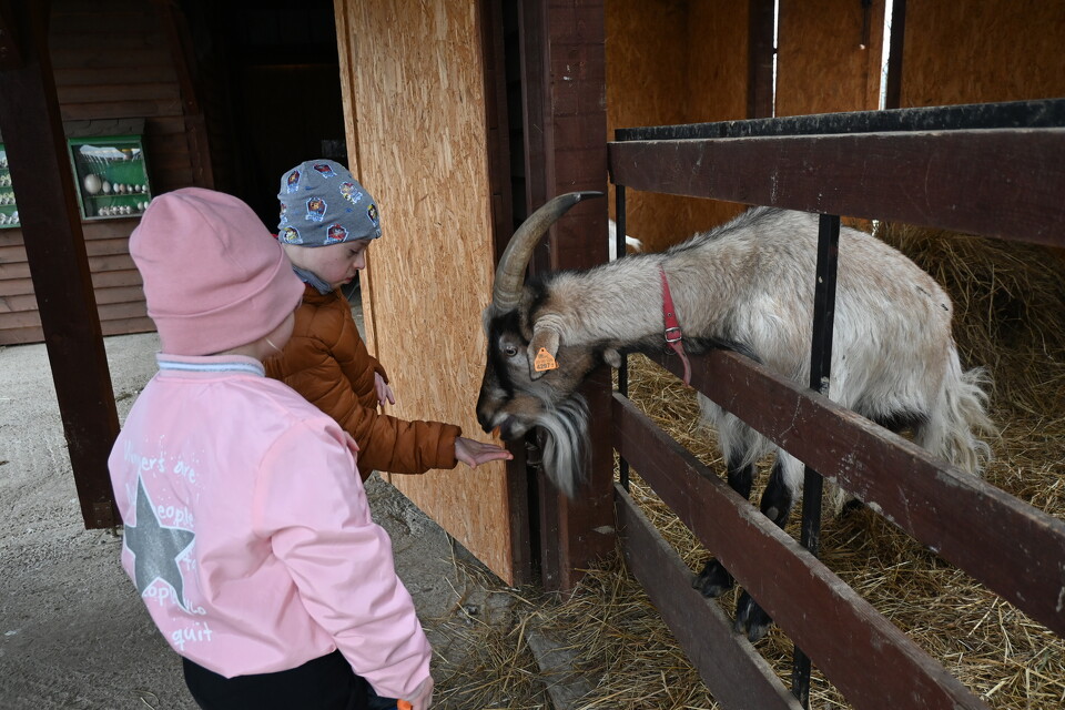 Na Zaczarowanym Wzgórzu