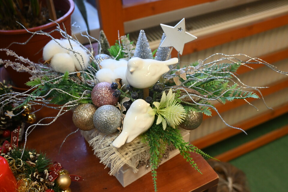 Z Wizytą w - Bonifundo - Bonifraterska Fundacja Dobroczynna