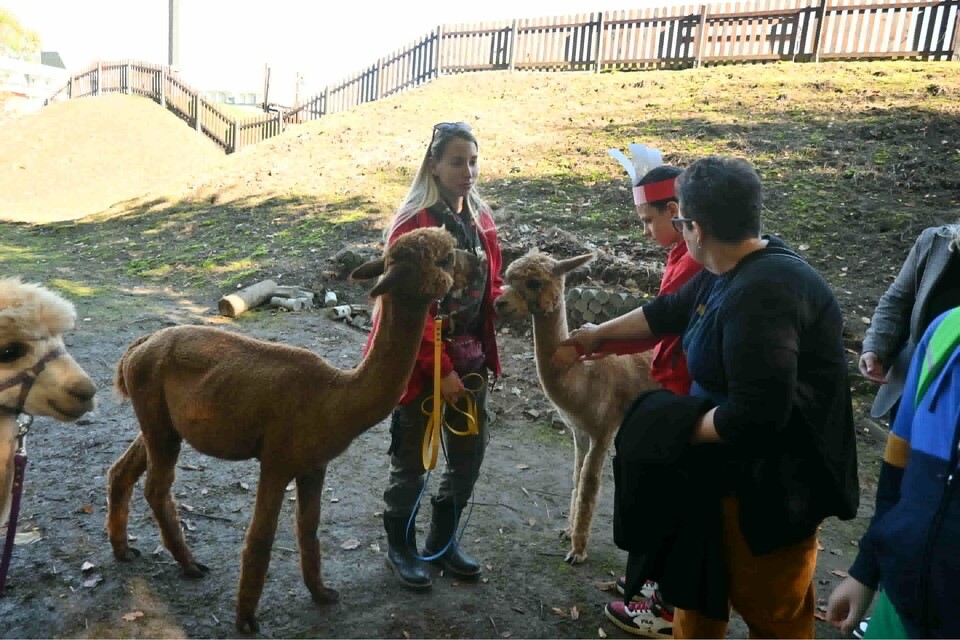 Wioski Świata - Park Edukacji Globalnej