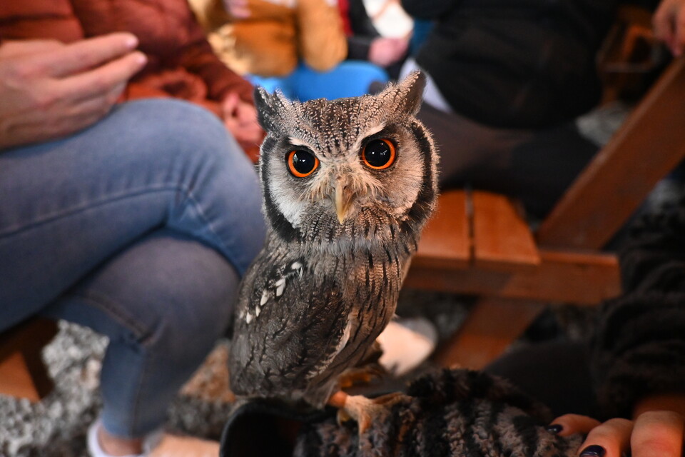 Z Wizytą w Animal Island Zoo