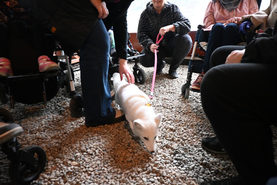 Z Wizytą w Animal Island Zoo