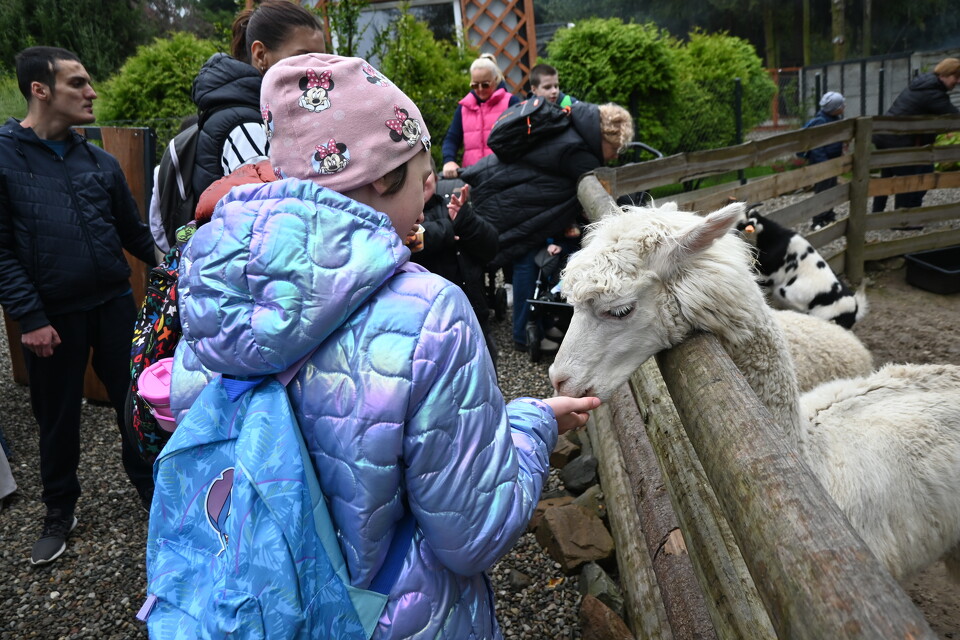 Z Wizytą w Animal Island Zoo