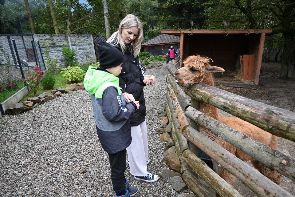 Z Wizytą w Animal Island Zoo