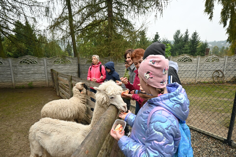 Z Wizytą w Animal Island Zoo