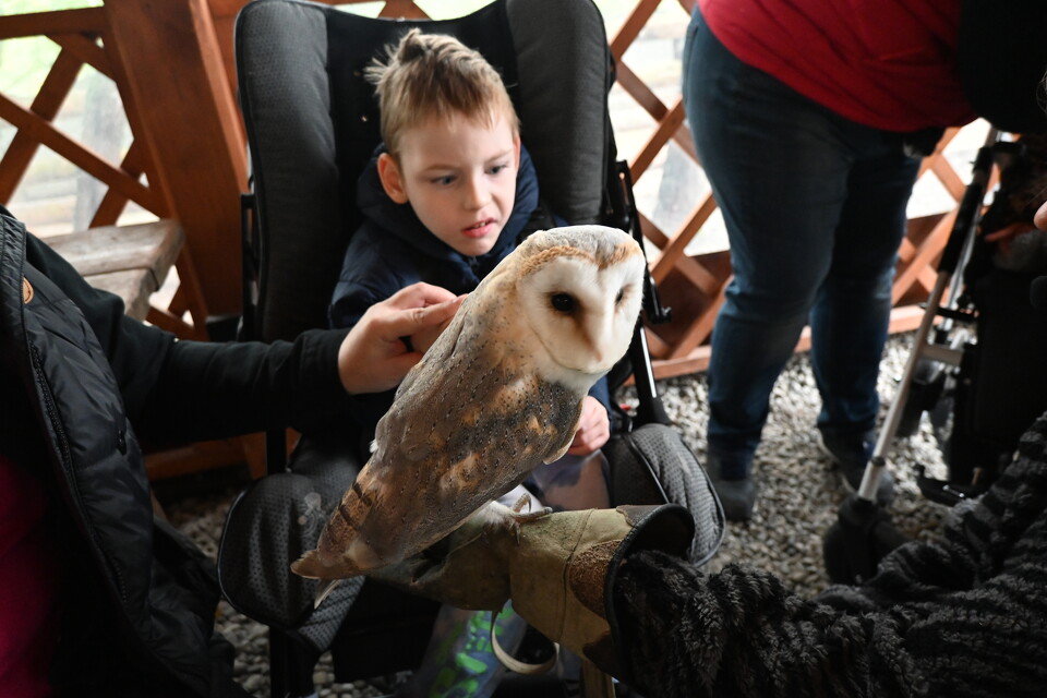 Z Wizytą w Animal Island Zoo