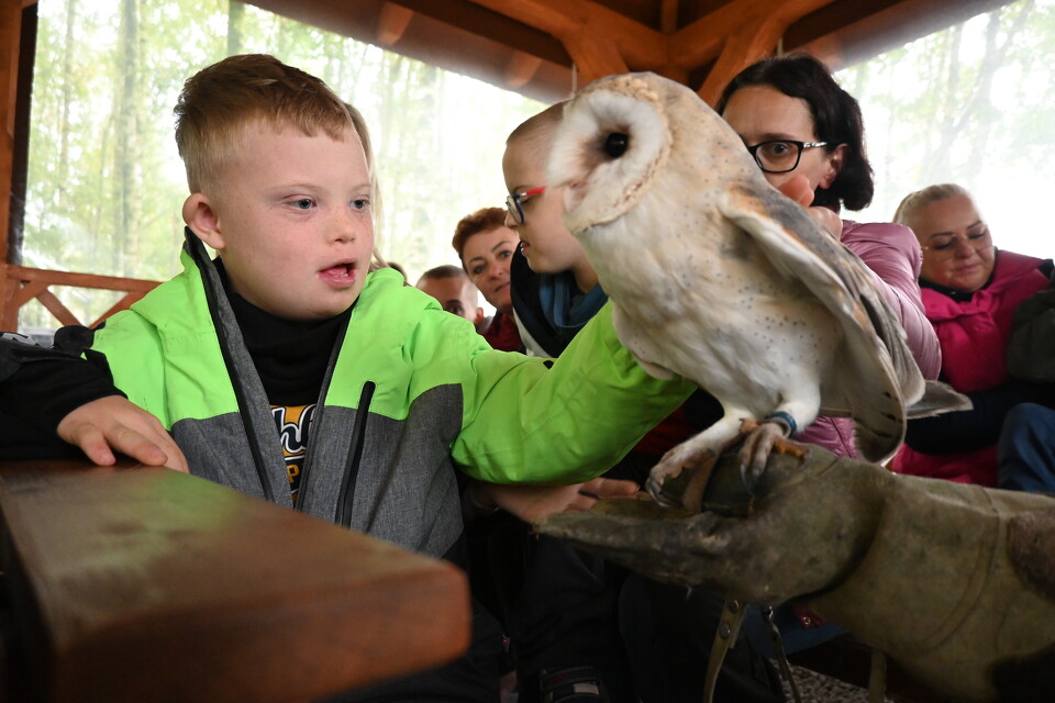 Z Wizytą w Animal Island Zoo