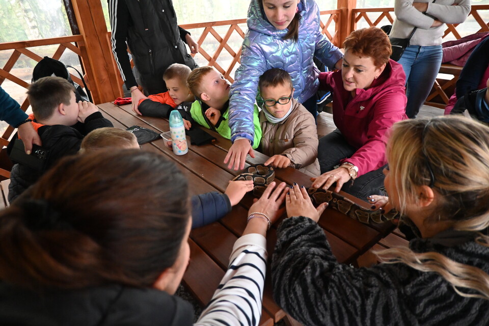 Z Wizytą w Animal Island Zoo