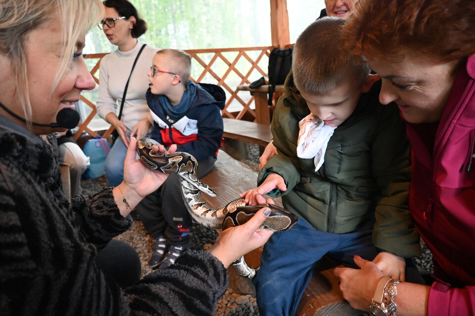 Z Wizytą w Animal Island Zoo