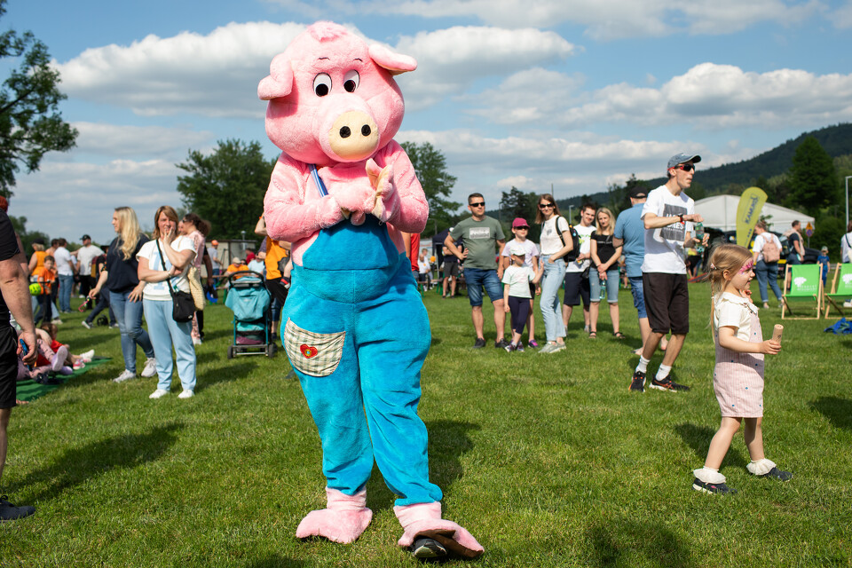 Piknik z okazji Dnia Godności Osób z Niepełnosprawnością Intelektualną