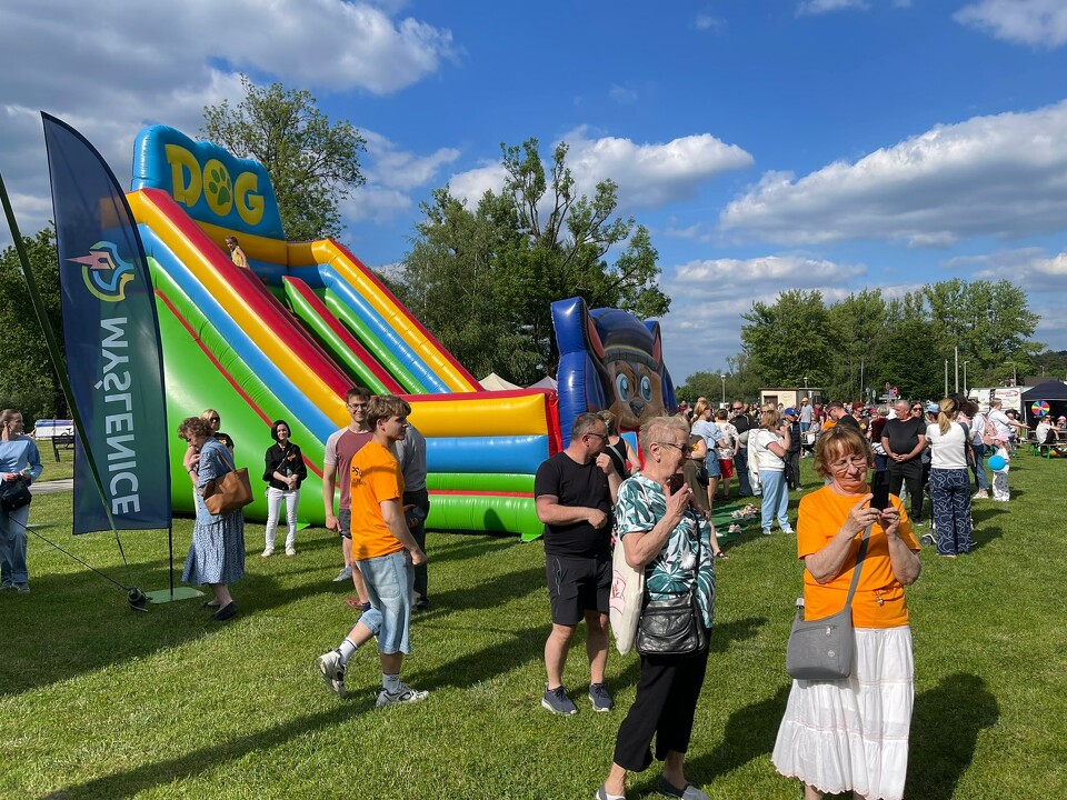 Piknik z okazji Dnia Godności Osób z Niepełnosprawnością Intelektualną