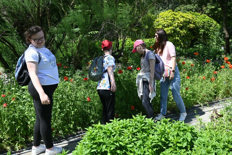 Wycieczka do Ogród botaniczny Kraków