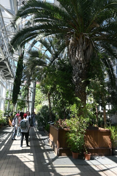 Wycieczka do Ogród botaniczny Kraków