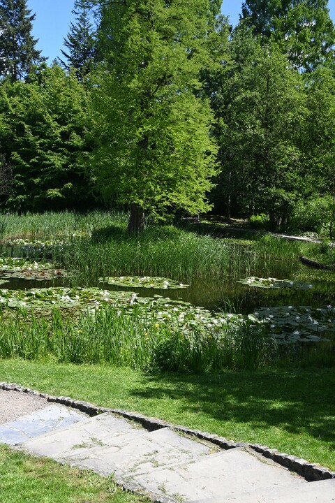Wycieczka do Ogród botaniczny Kraków