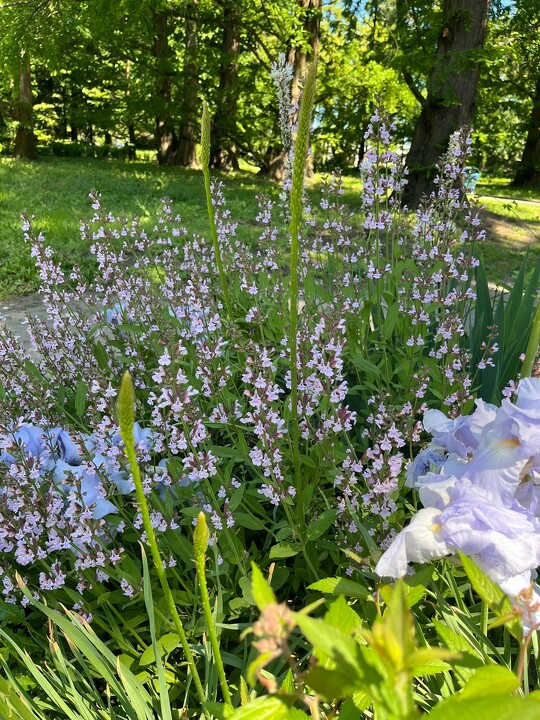 Wycieczka do Ogród botaniczny Kraków