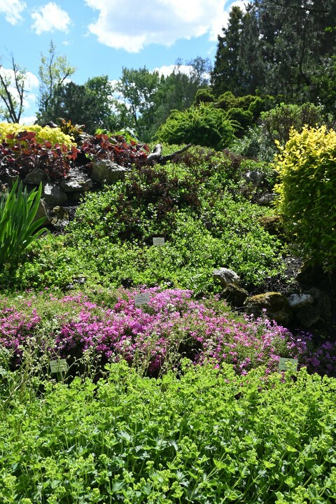 Wycieczka do Ogród botaniczny Kraków